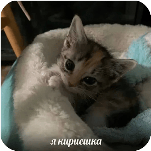 kirieshka